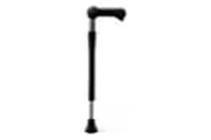 Canes & Walking Sticks